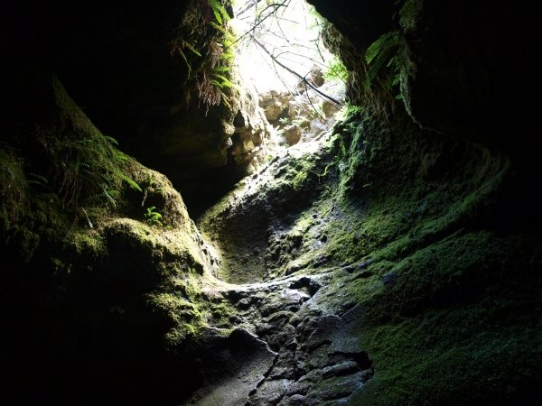 Ape Caves, Washington