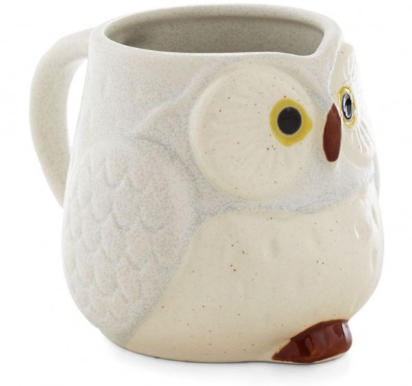 Fly through Your Morning Mug