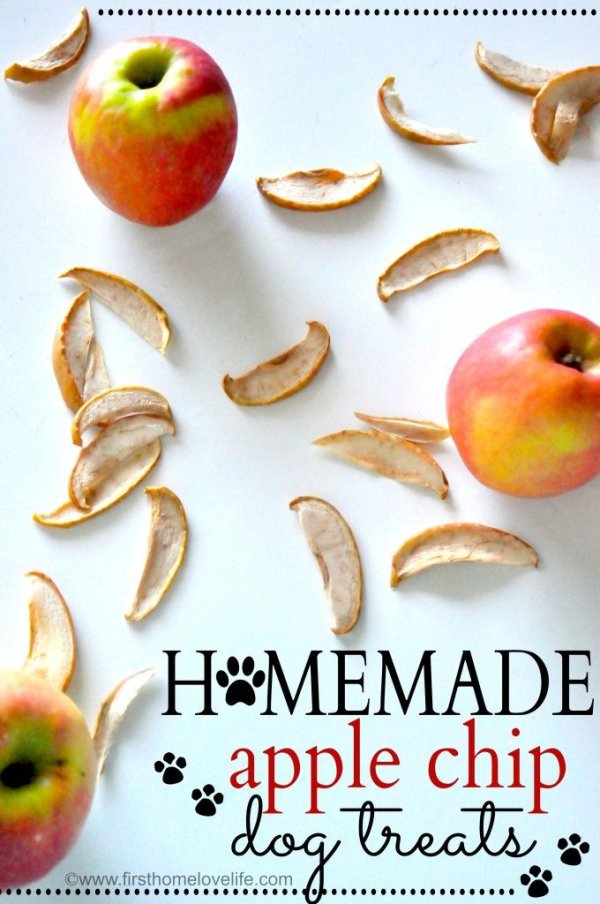 Homemade Apple Chip Dog Treats