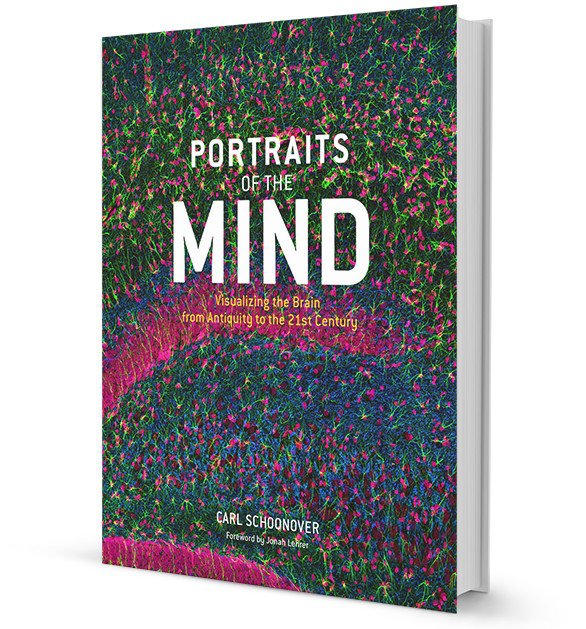 Portraits of the Mind: Visualizing the Brain