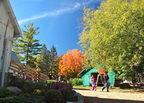 Deardorff Orchards, Michigan