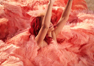pink, flamingo, close up, mouth, organ,