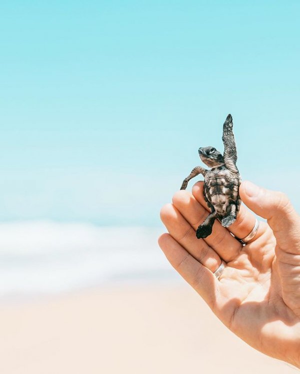 finger, hand, cosmetics, sand,