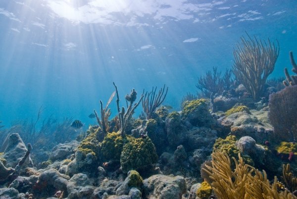 Elliott Key, Biscayne National Park, Florida