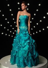 dress,clothing,gown,wedding dress,bridal clothing,