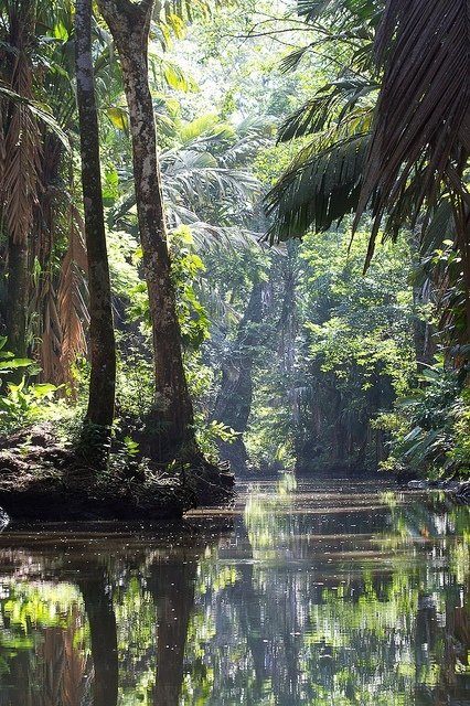 Parque Natural Tortuguero, Costa Rica