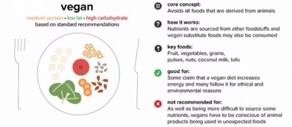 Vegan Diet