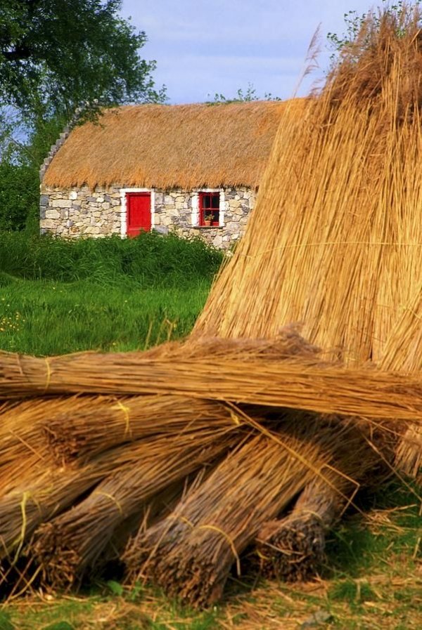 Thatching, Ireland