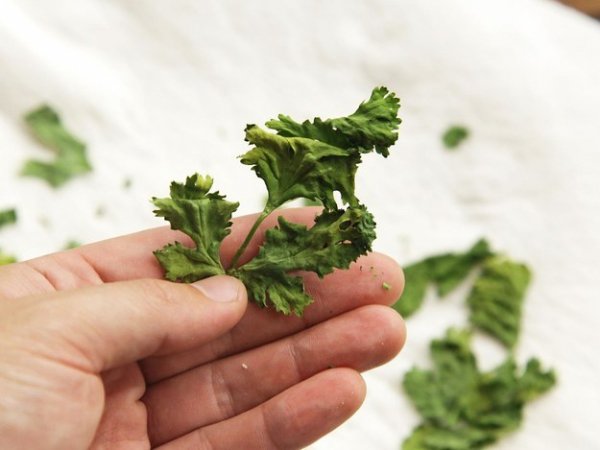 Use the Microwave to Dry Leftover Herbs