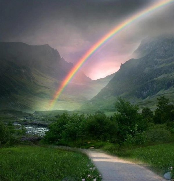 Irish Rainbow