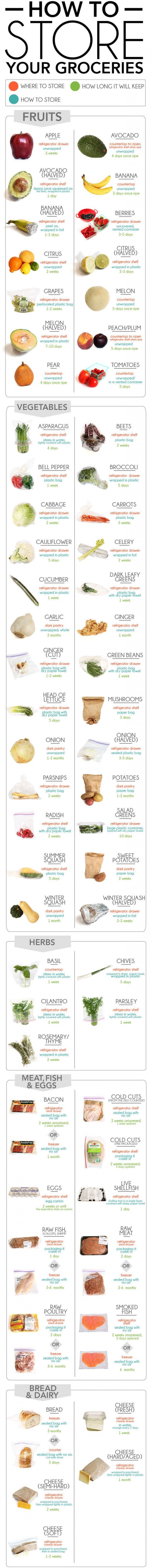 Know Exactly How to Store Your Groceries