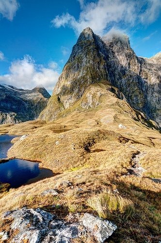 Milford Track #2