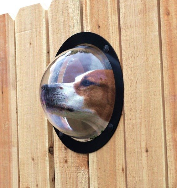 Fence Window for Pets