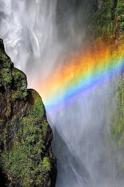 Milford Sound, New Zealand