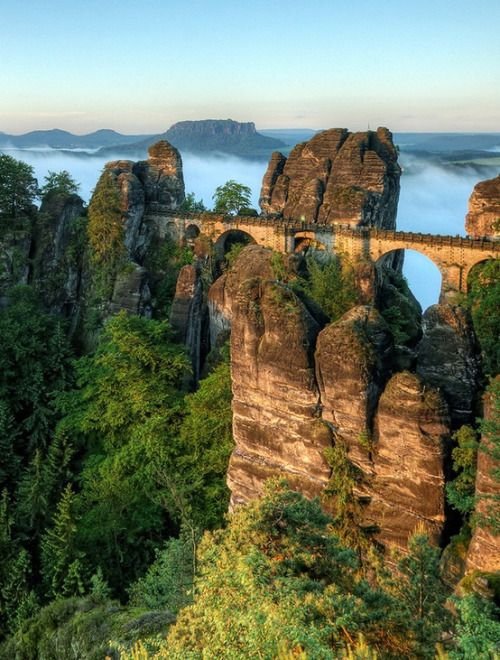 Saxon Switzerland,cliff,wilderness,rock,ecosystem,