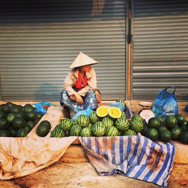 food, produce, local food, vegetable, cuisine,
