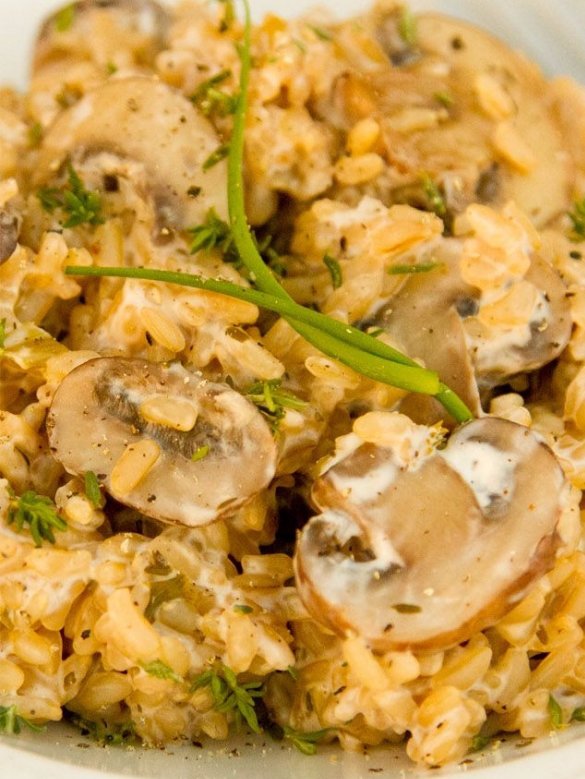 Mushroom Stroganoff