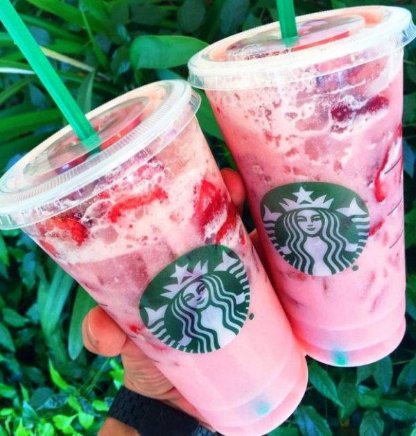 Starbucks, plant, produce, food, flowering plant,