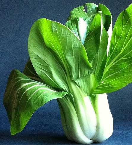 Bok Choy