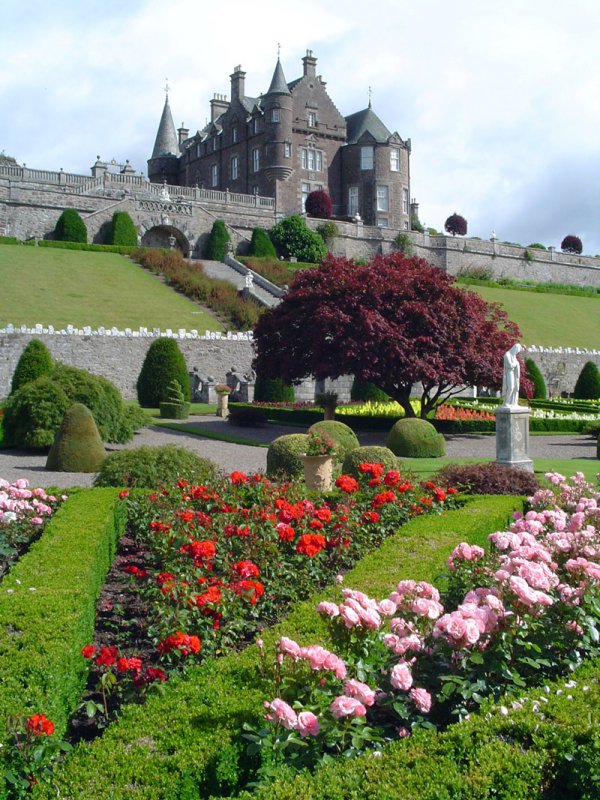 flower, estate, garden, building, spring,