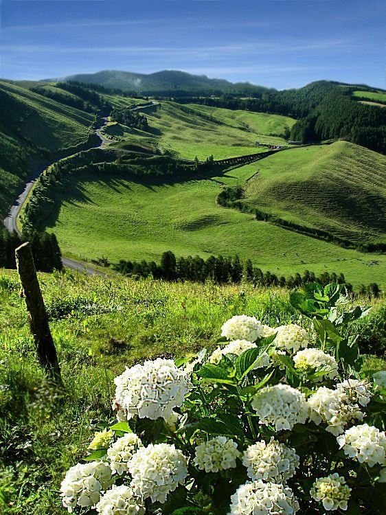 Island Faial, Azores