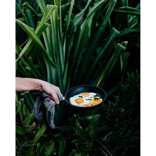 grass, flower, leaf, lawn,