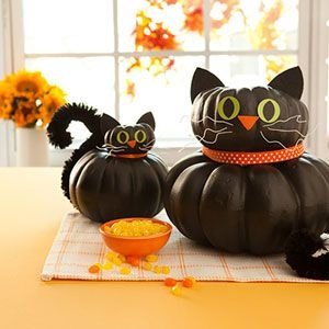 Kitty Pumpkins