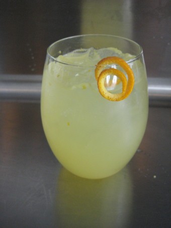 Citrus White Wine Spritzer