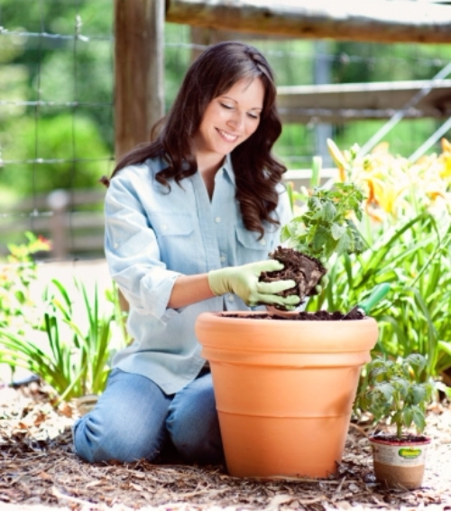 Get Your Hands Dirty and Grow Something