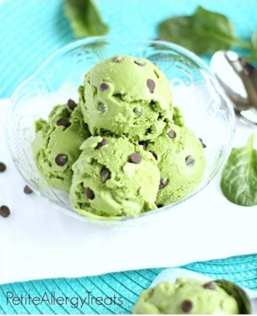 Mint Chocolate Chip Ice Cream