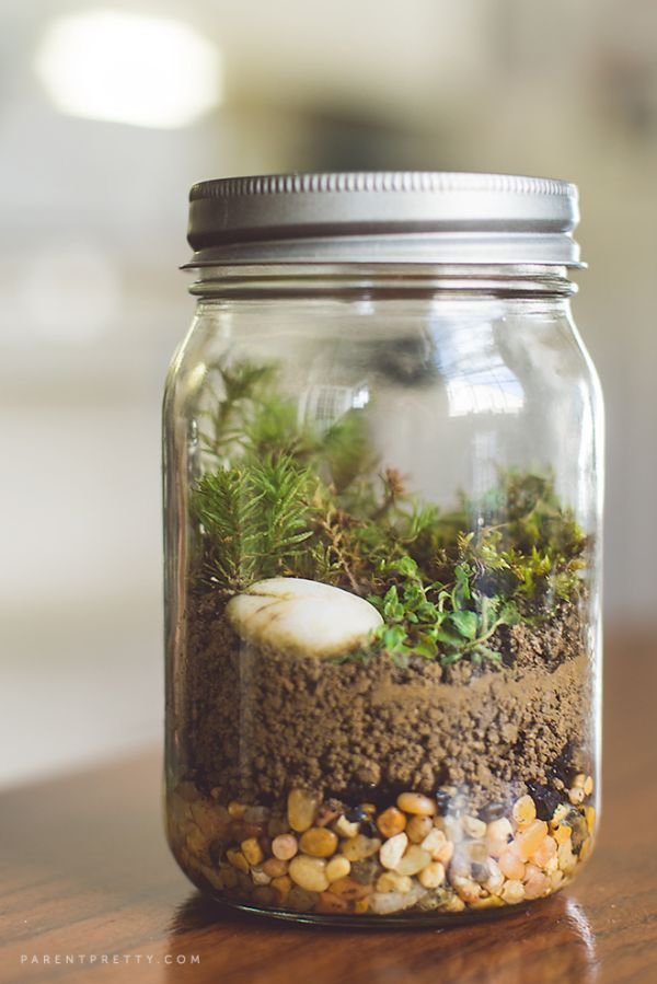 Create Really Cool Terrariums