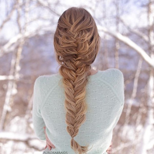 hair, hairstyle, fashion accessory, long hair, braid,