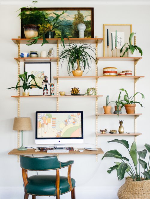 green, room, shelf, wall, shelving,