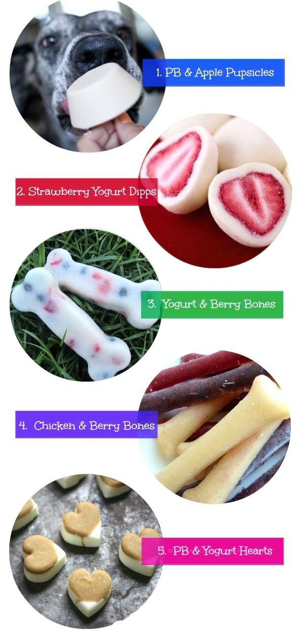 Easy Homemade Frozen Dog Treats