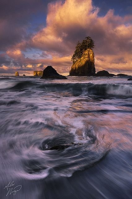 Second Beach, Olympic National Park, Washington