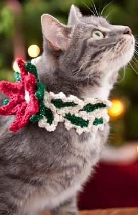 Holiday Cat Collar