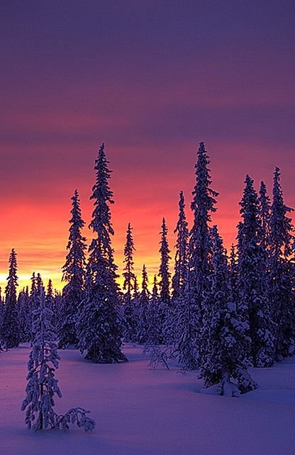 Winter Sunset