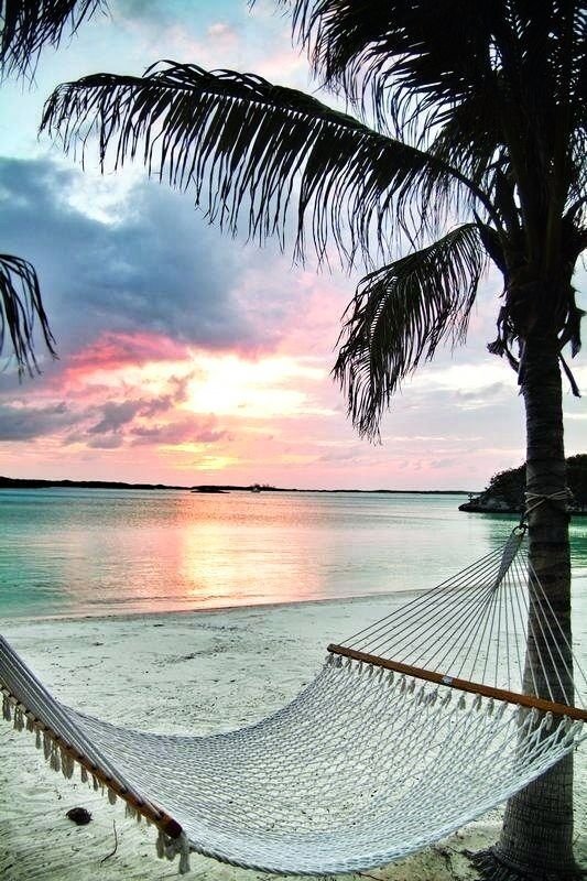 Hammock in the Shade