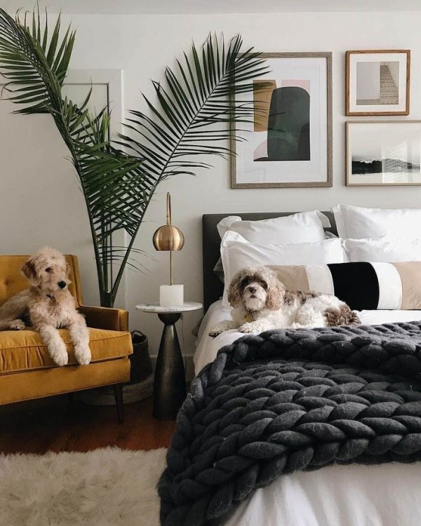 Bedroom, Furniture, Room, Bed, Bed frame,