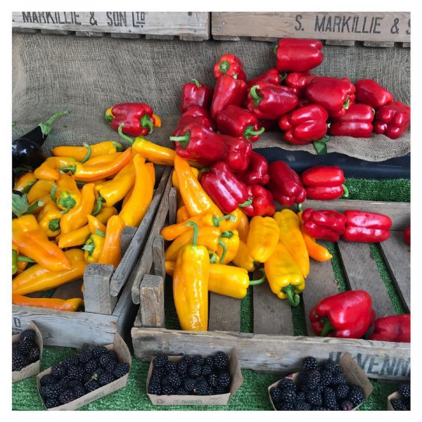 natural foods, vegetable, local food, produce, chili pepper,