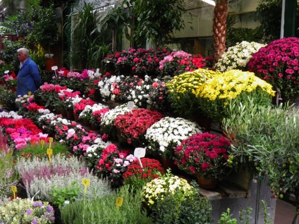 The Marché Aux Fleurs, Paris, France