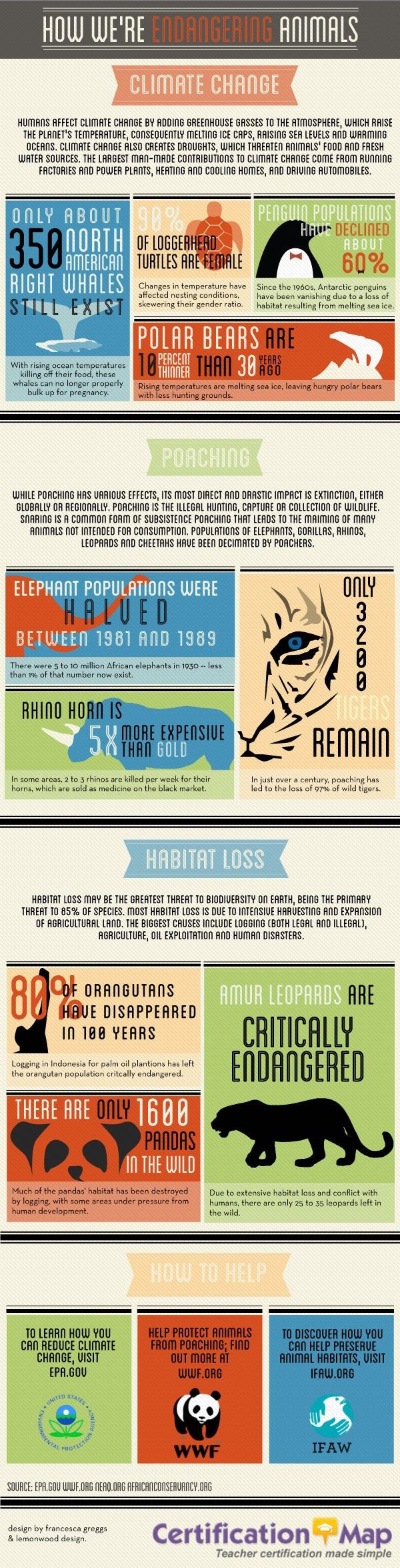 How We're Endangering Animals