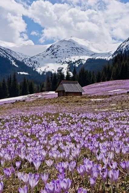 Tatra Mountains, Poland