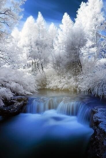 Winter in New Zealand