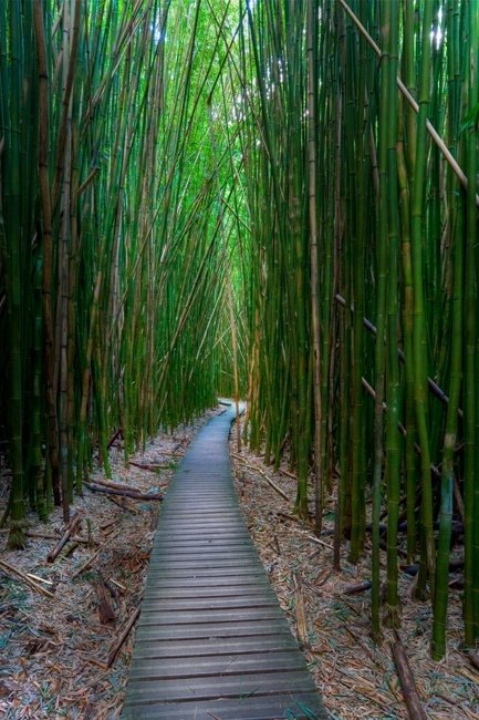 HALEAKALA NATIONAL PARK, MAUI