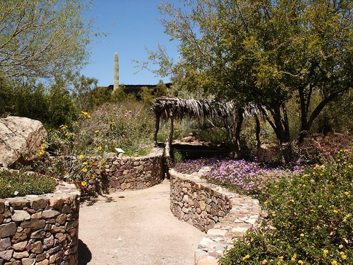 Sonora Desert Museum, Tucson, Arizona