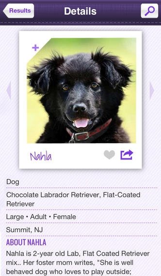 Petfinder