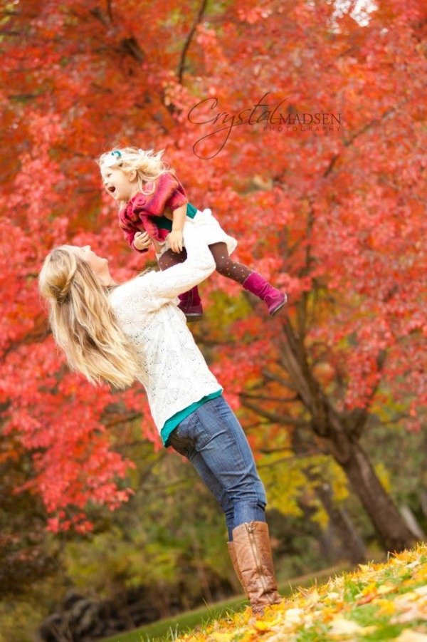 tree,red,autumn,season,flower,