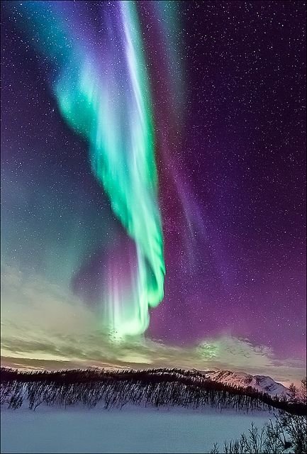 The Northern Lights