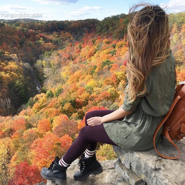 leaf, autumn, season, mangorabbitrabbit,